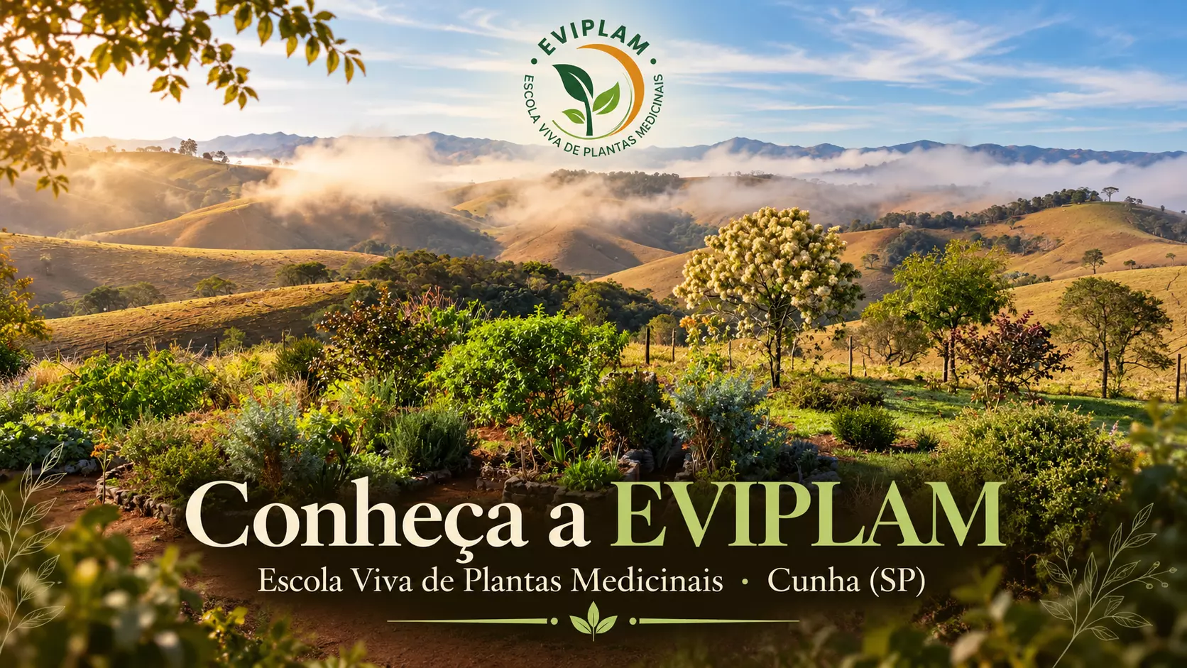 Conheça a EVIPLAM - Escola Viva de Plantas Medicinais
