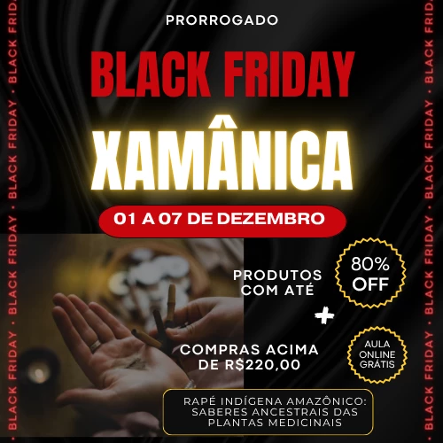 black friday3