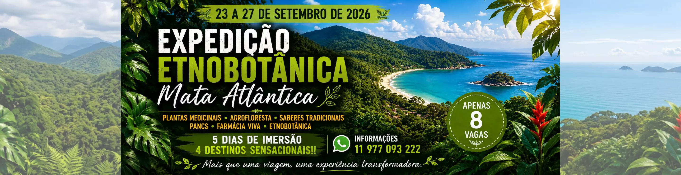 expedicao