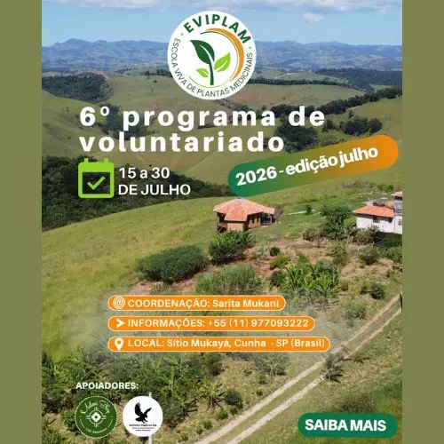 voluntariado 2026