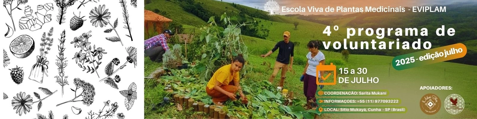 voluntariado