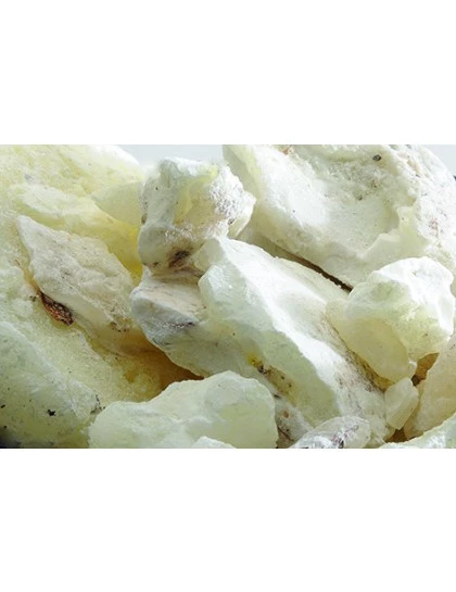 Copal Branco do México