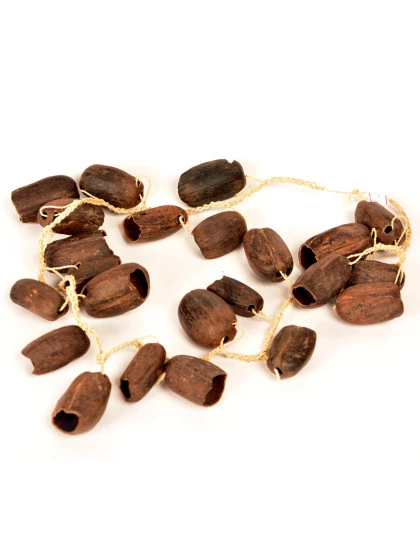 Chocalho da Seringueira