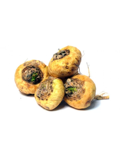Maca Peruana em pó 100% Orgânica