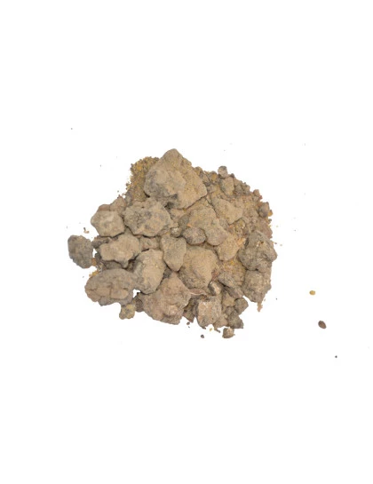 Resina de Palo Santo