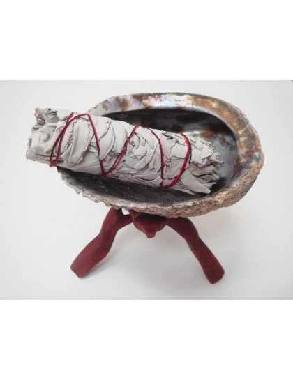Tripé para Abalone 