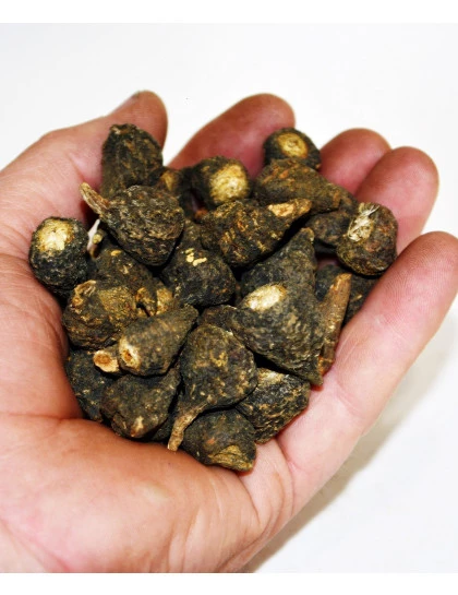 Maca Preta Peruana Raíz 100% Orgânica