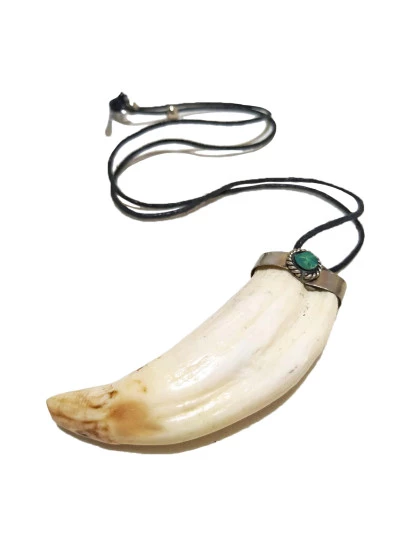 Amuleto de Proteção Javali | Colar de Dente de Javali e Crisocola