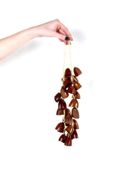 Chocalho de Semente de Ocaqui 