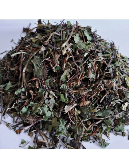 Centela Asiatica