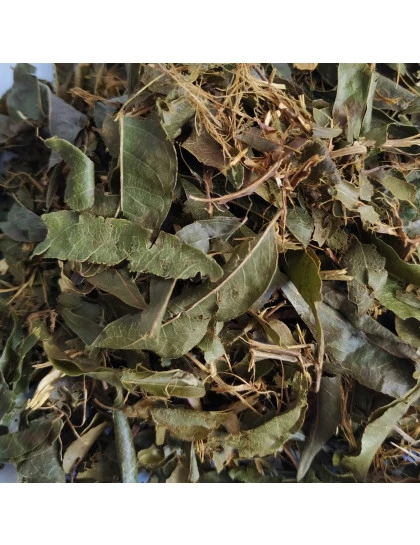 Guaçatonga