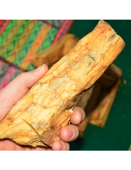 Palo Santo Tronco