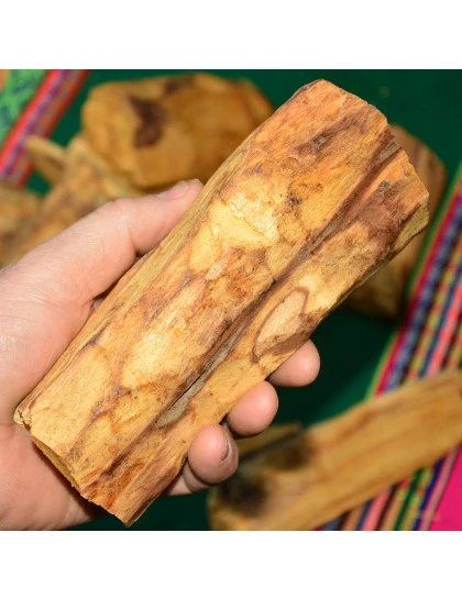Palo Santo Tronco