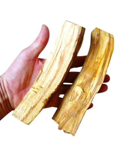 Palo Santo Tronco