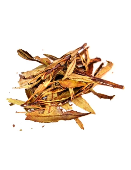 Yerba Santa Folhas 