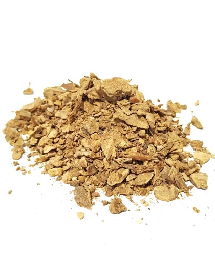 Zedoaria