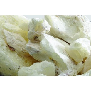 Copal Branco do México