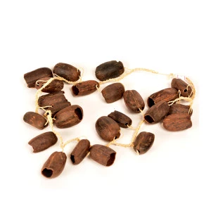 Chocalho da Seringueira