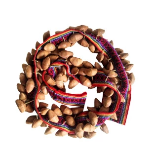 Chocalho de Semente de Aguai