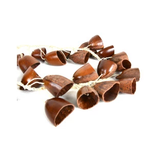 Chocalho de Semente de Ocaqui | Instrumento Xamânico
