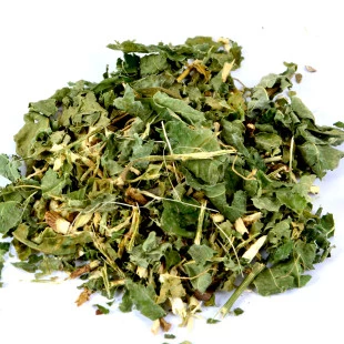 Guiné