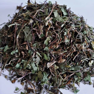 Centela Asiatica