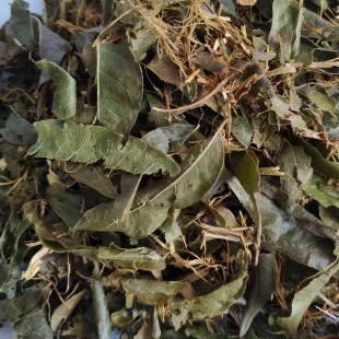 Guaçatonga
