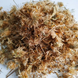 Arnica Montana