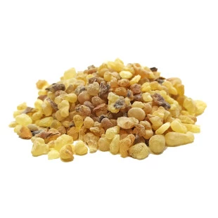 Olibano Premium