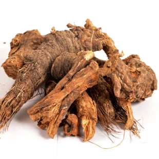 Raiz de Urso - Osha Root
