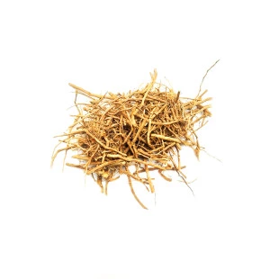Raiz de Chilcuague - Raiz de Ouro 20gr