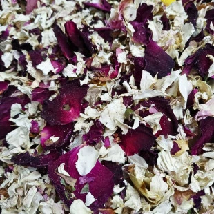 Pétalas de Rosas 