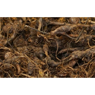 Priprioca 50gr