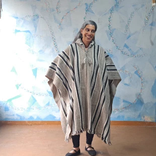 Poncho Andino Cinza