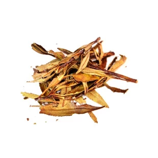 Yerba Santa Folhas 