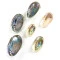  Abalone Polido 