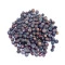 Blue Berries