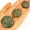 Peyote de Jade para Colar