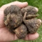 Maca Preta Peruana Raíz 100% Orgânica