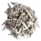 Salvia Branca folha solta
